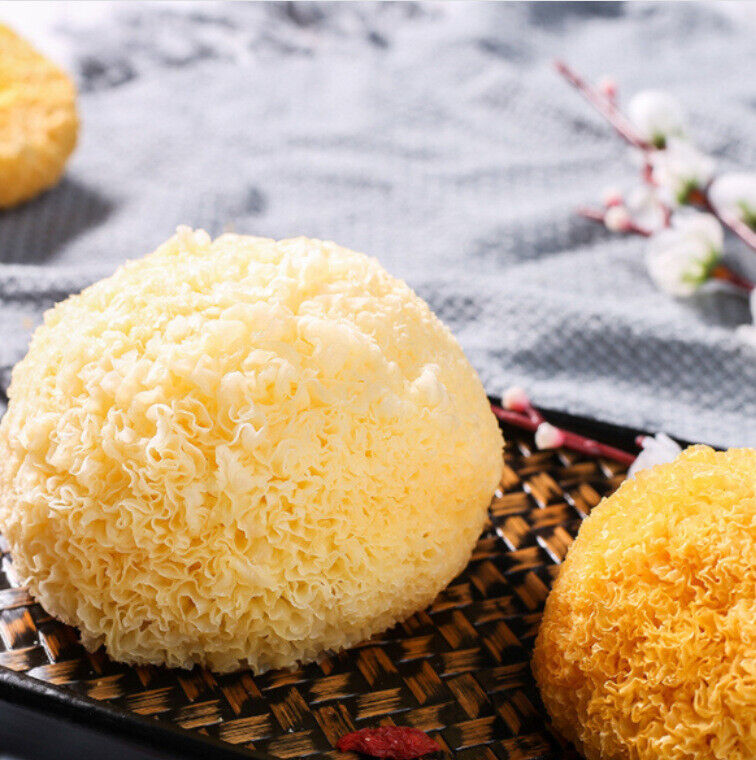 HelloYoung Snow Fungus Ball Edible Mushrooms Good for Health Great Tremella Fuciformis 100g