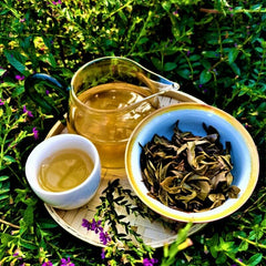 HelloYoung Health Care Natural Pu'er Tea Yiwuqingbing Organic Arbor Pu'er Tea 357g