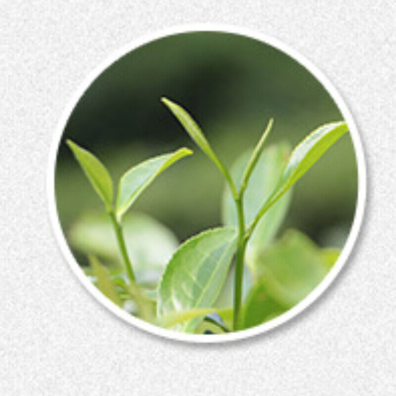 HelloYoung White Tea Cake Taimu Mountain High Quality White Peony White Tea Cake 300g