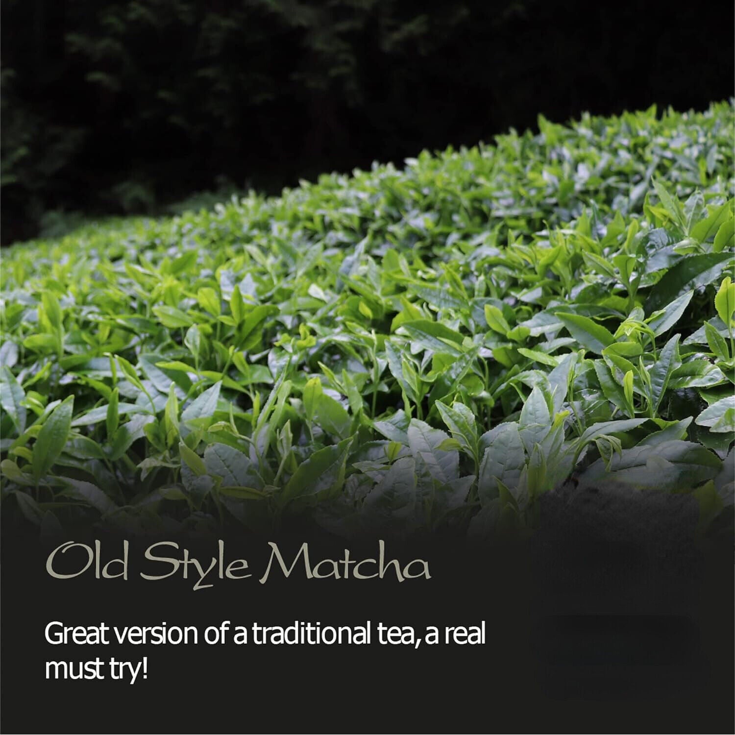 Matcha Organic Green Tea Japan - Artisan Farm - Sen Ca - 50g