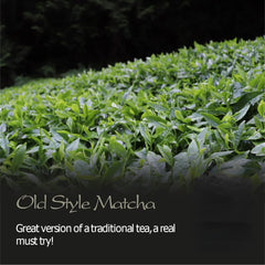 Matcha Organic Green Tea Japan - Artisan Farm - Sen Ca - 50g