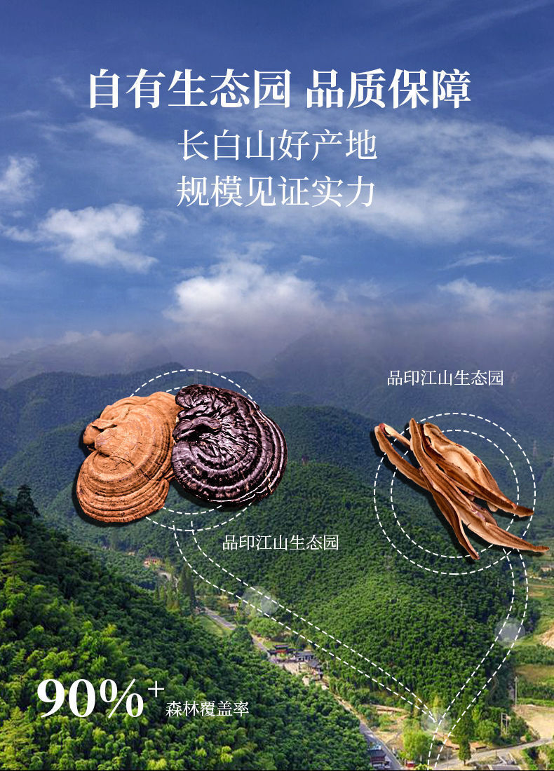 HelloYoung Ganoderma lucidum tablets in tea and soup Changbaishan wildlife infusion tea
