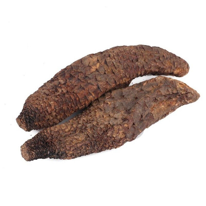 HelloYoung Rou Song Rong Sinkiang Wild Desertliving Cistanche Ecology Herb Tonic500g/1000g