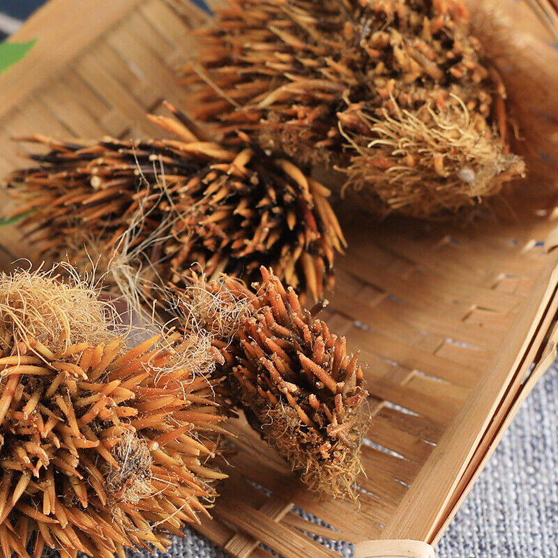 HelloYoung Ciweipi Healthy Care 100% Chinese Top-grade Authentic Hedgehog Skin 50g 正品刺猬皮
