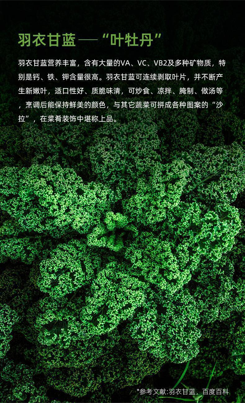 HelloYoung Kale powder fruit vegetable powder dietary fiber vitamin C quality nutrition 60g