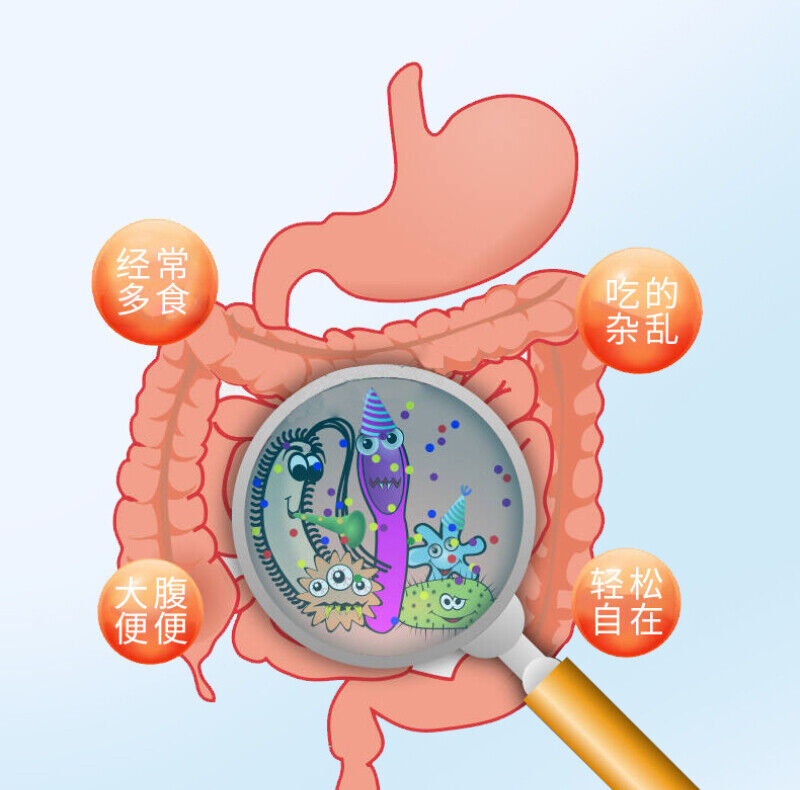 HelloYoung 40g Probiotics Freeze-dried Powder Children’s Intestinal Viable Solid Beverage