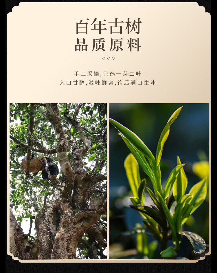 Pu'er Tea 357g Yunnan Qizi Cake Tea Mature Pu'er Tea Mature Pu'er Tea