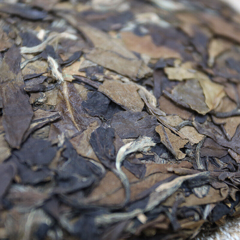 HelloYoung Traditional Craft White Tea Organic Date Fragrant Tea 100g Natural Fuding Tea