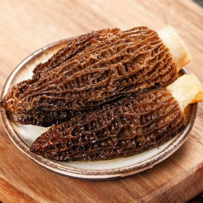 HelloYoung High Quality MOREL-DRIED-MUSHROOMS Natural Chinese Specialty Original 50g 羊肚菌