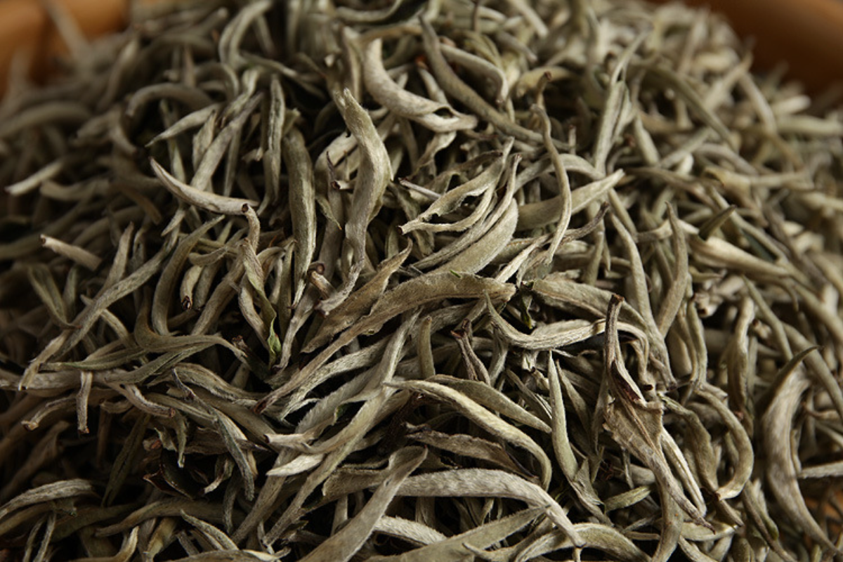 HelloYoung Pu'er raw tea white hair silver needle white hair single bud moonlight white tea