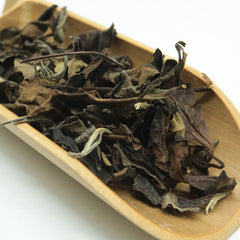 HelloYoung Old White Tea Weight Loss Healthy Drink 500g Fuding White Tea Loose Leaf