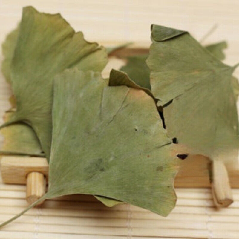 HelloYoung Ecology Herbal Green Tea Health Care Ginkgo Biloba Leaves Tea Chinese Ginkgo Tea