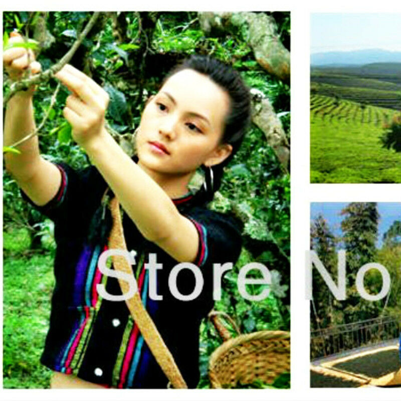 HelloYoung Ripened Puerh Tea Yunnan Black Puer Tea China Bulk Cooked Pu-erh Tea Loose Leaf
