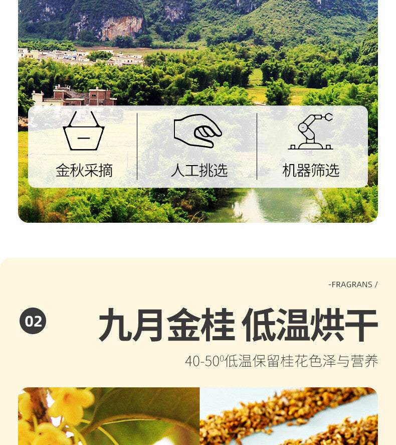 Osmanthus Tea 25g Flower Tea 桂花茶 桂花干特产罐装 花茶 High Quality Benefit Healthy