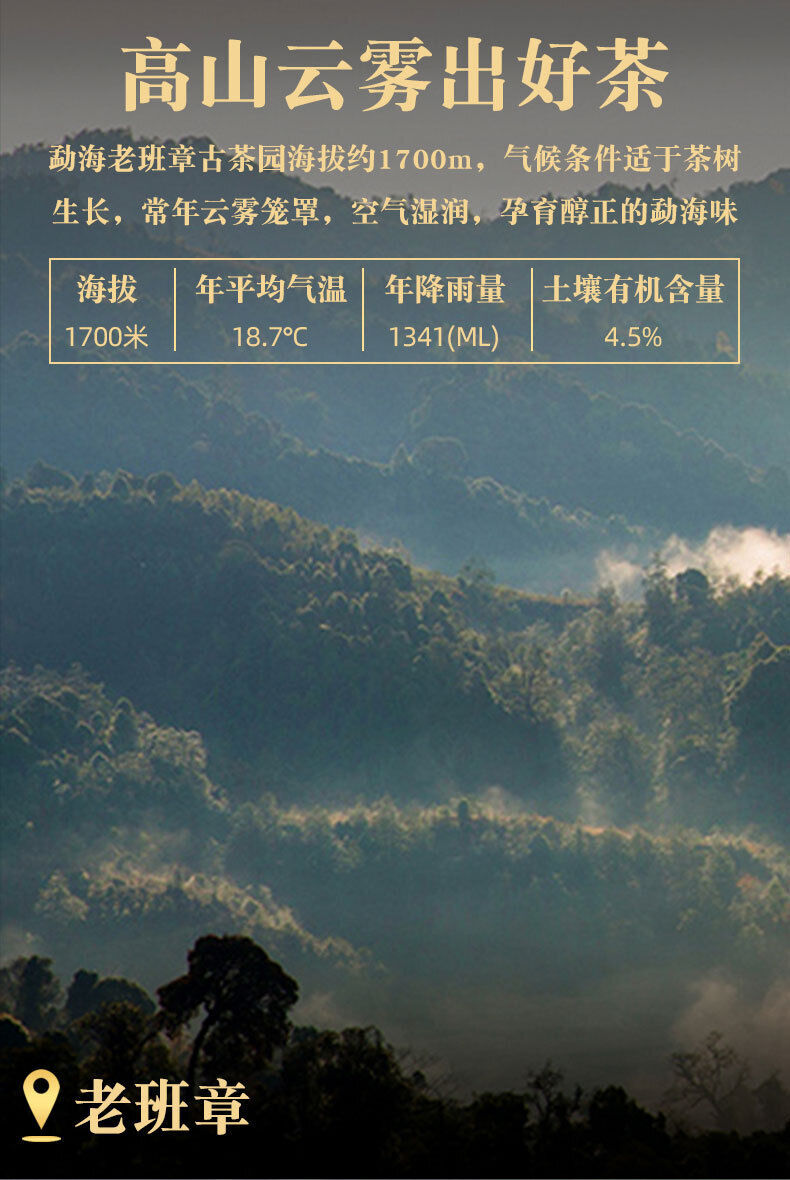 Pu'er Tea Cake Yunnan Qizi Cake Tea Aged Pu'er Banzhang Ancient Tree Ripe Tea