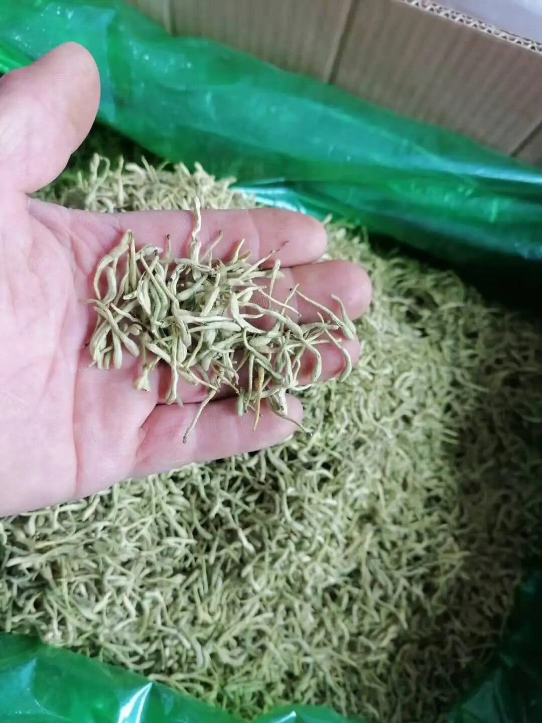 Raw Dried HONEYSUCKLE TEA FLOWERS for Blooming Tea 250g