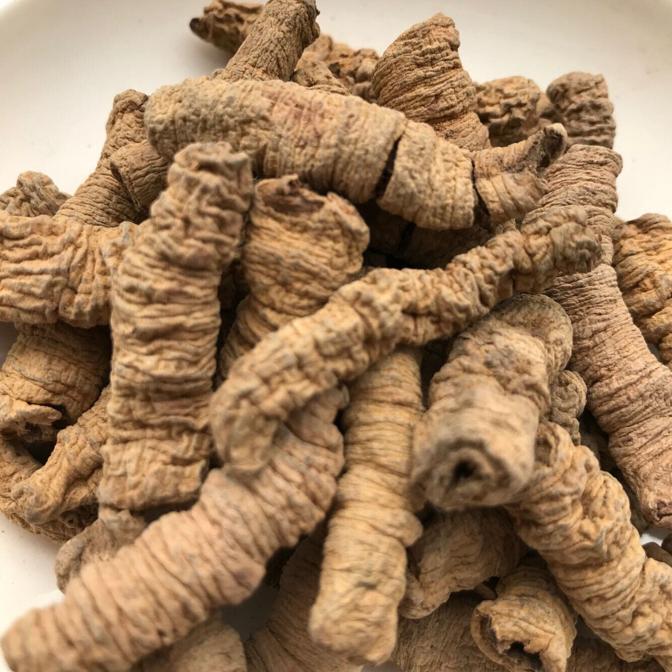 New Baji Tian Chinese Herbs Dried Baji 500g