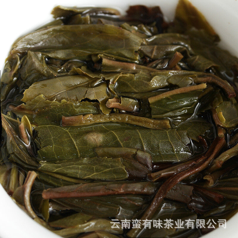 Pasha Small Cake 100g 2021 Big Tree Tea Puerh Raw Cake Yunnan Puerh Tea