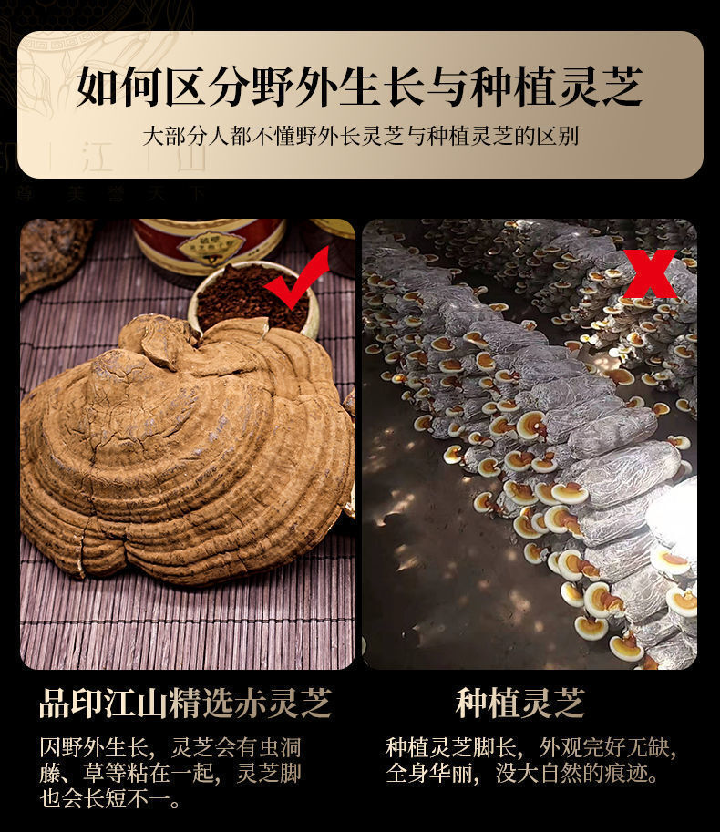 HelloYoung Ganoderma lucidum tablets in tea and soup Changbaishan wildlife infusion tea