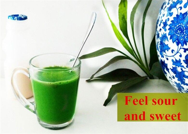 100g Healthy Drink 100% Pure Natural Organic Wheat Seedling Grass Extract Powder