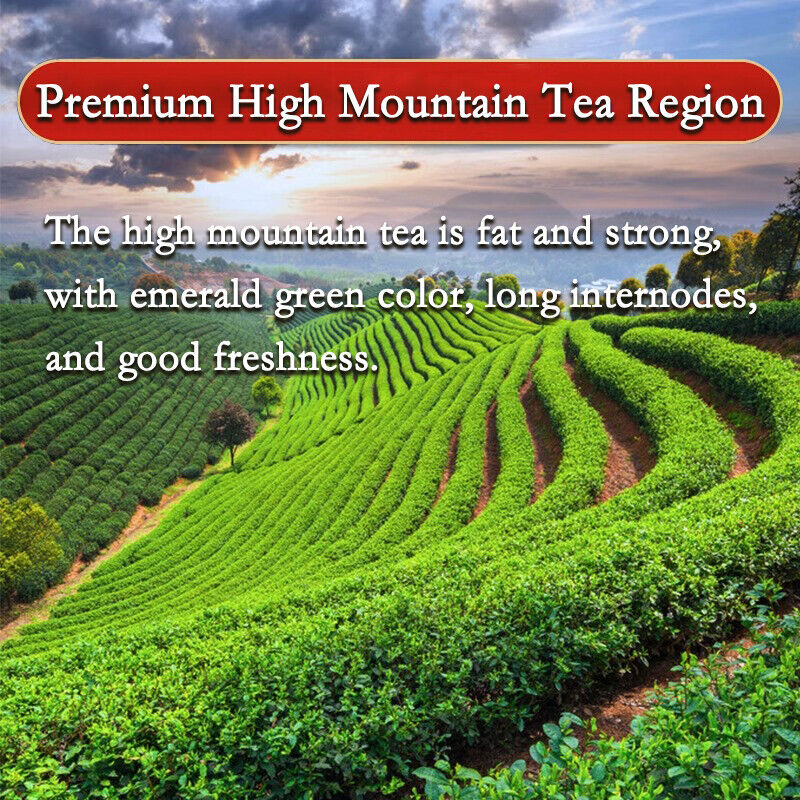 Jin Xuan Milk Oolong Tea Taiwan Alishan  Milkscented Wulong Tea Gaoshan Cha