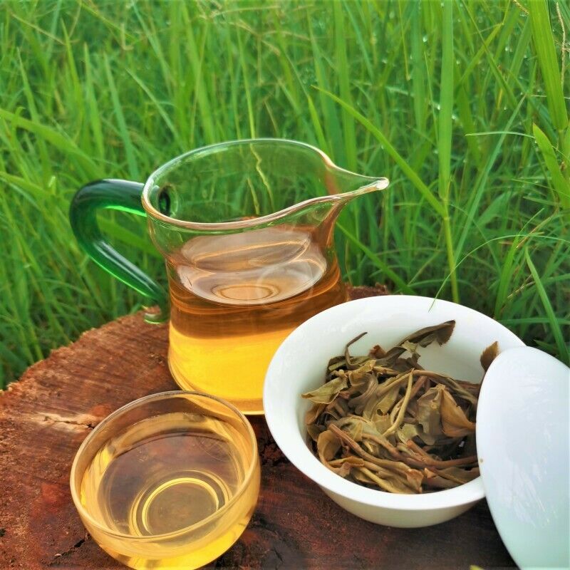 HelloYoung Zhonghong Yin Bow Ancient Tree Tea Yiwu Wanggong Pu-Erh Spring Tea Cake 357g
