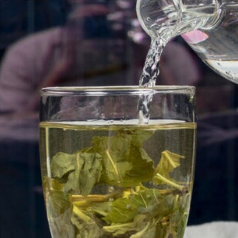 HelloYoung Mentafollia Ecology Dried Mint Tea Peppermint Leaf Herbal TeaTop Pennyroyal Tea
