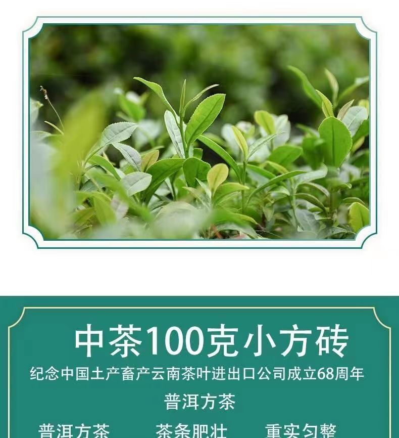 Chinese Tea Pu'er Square Brick Old Raw Pu'er Classic Square Brick Tea 100g