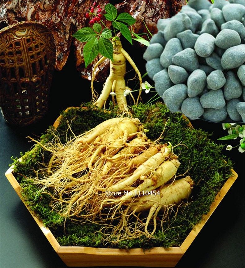HelloYoung250g High Fresh Ginseng Tea Slimming Beauty Chinese Tea High Quality Oolong tea