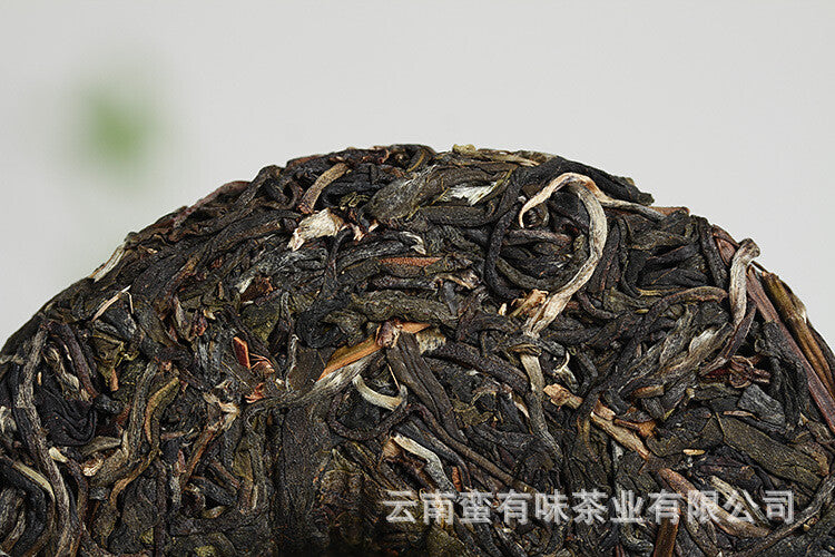 Pasha Small Cake 100g 2021 Big Tree Tea Puerh Raw Cake Yunnan Puerh Tea