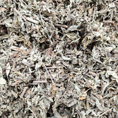 Tisane d'absinthe PREMIUM 100g Artemisia absinthium herbe séchée