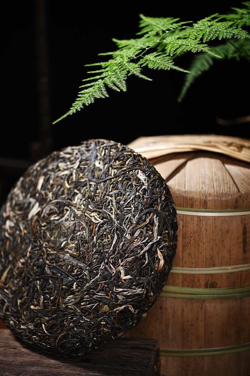 Tea Ma Gu Dao Puerh Tea Cake Icelandic Sheng Tea 357g