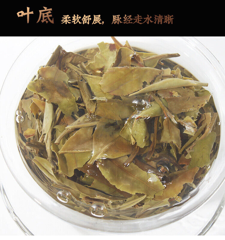 HelloYoung White Peony Tea Brick High Mountain Sunshine 250g Fuding White Tea Song Press