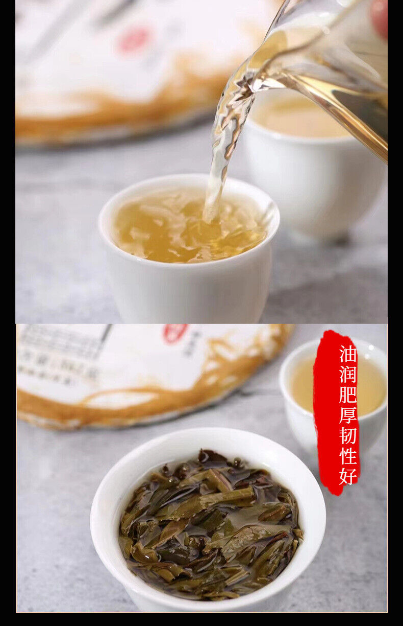 HelloYoung Yunnan Tea Long Yin Ban Zhang Pu'er Tea Raw Tea 357g Cake Tea