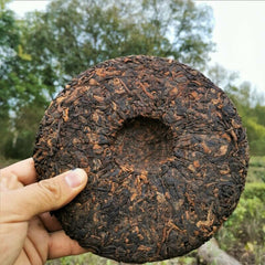HelloYoung Premium Ripe Tea Zhonghong Yin Brown Mountain Big Tree Ripe Tea 357g Bulandashu
