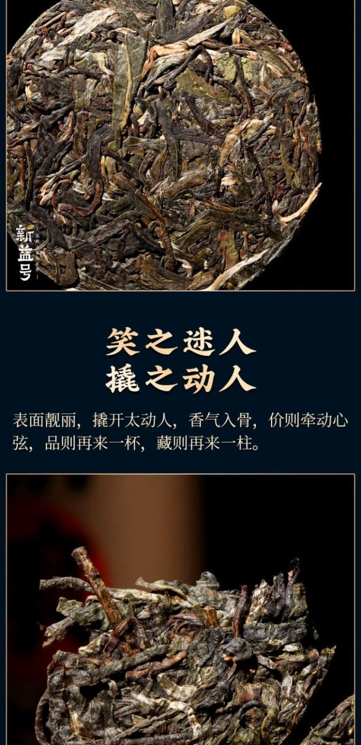 Ancient Tree Raw Pu'er Tea Large Tea Column Tea Yunnan Spring Tea 1000g