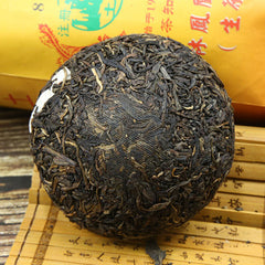 HelloYoung Since Phoenix 818 Raw Puer Tuo Cha Raw Puer Tea Tu Lin Pu Erh Tea 100g