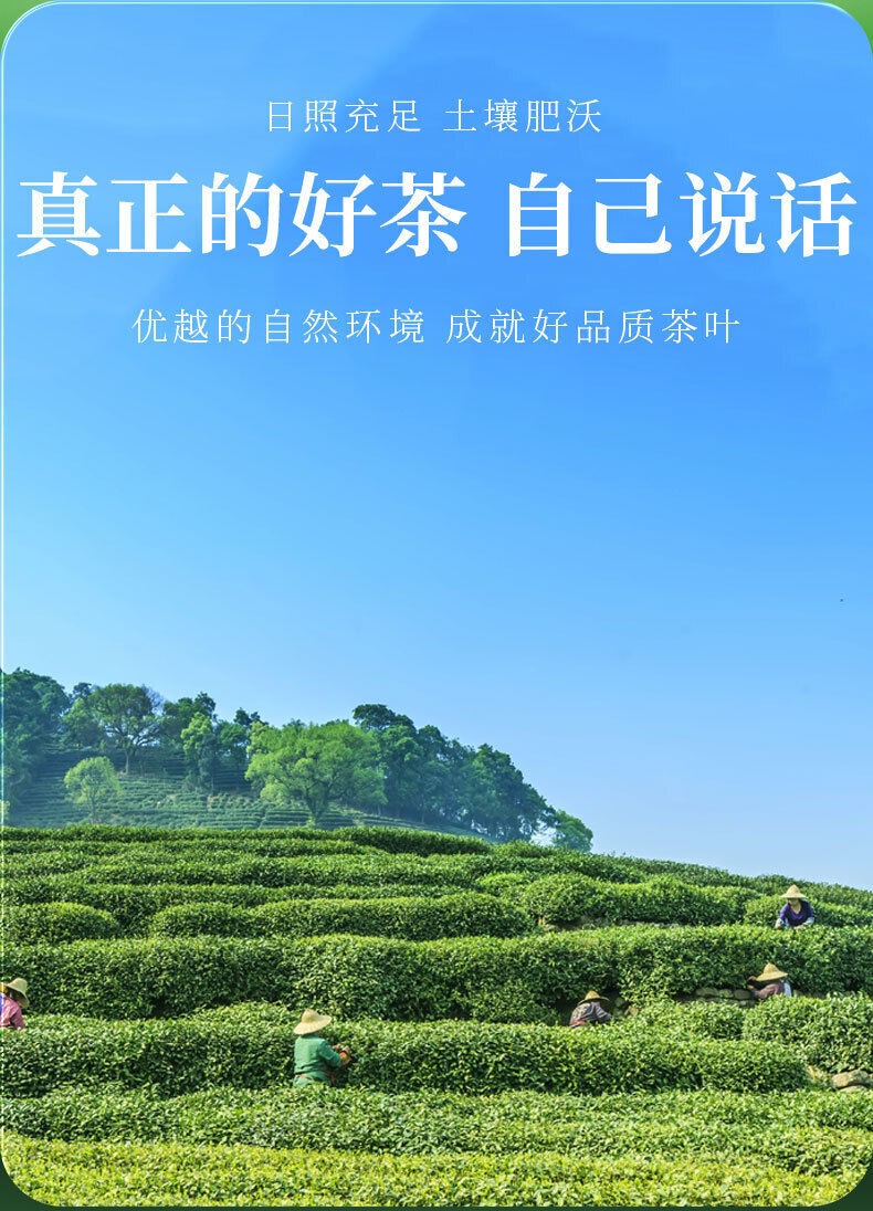 Golden Tea with Strong Taste Bagged Tea Origin Good Tea Yijing Brand Tea 30G
