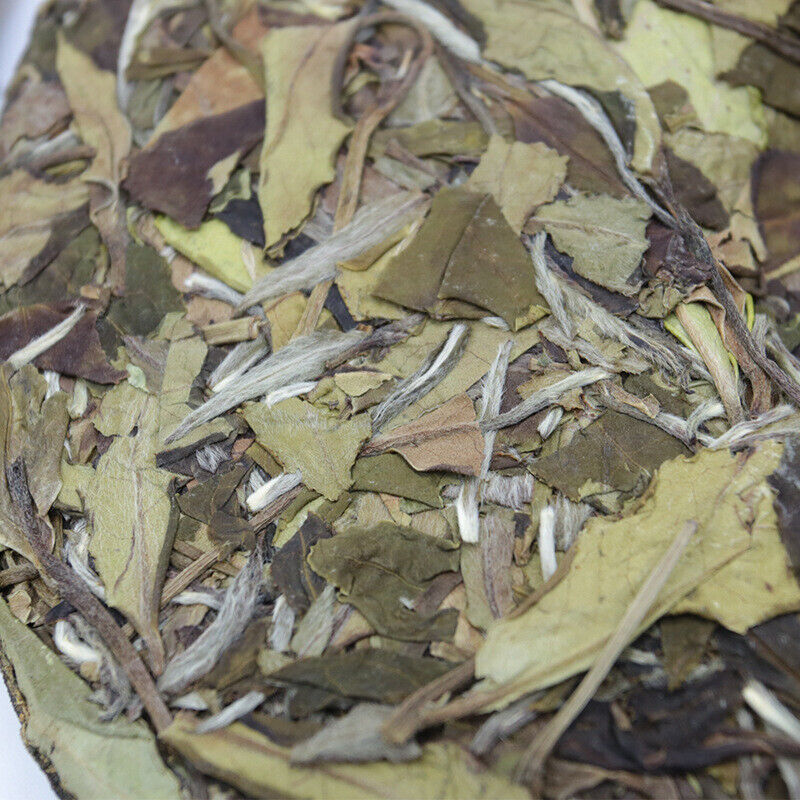 HelloYoung White Dew Fuding White Tea Cake Health Care 300g White Tea High Mountain Shoumei