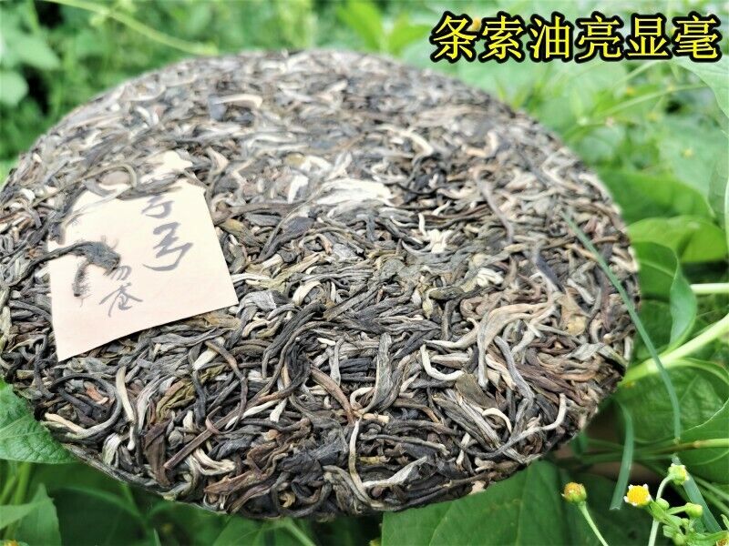 HelloYoung Zhonghong Yin Bow Ancient Tree Tea Yiwu Wanggong Pu-Erh Spring Tea Cake 357g