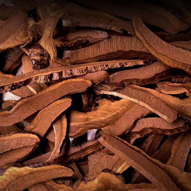 HelloYoung Ganoderma lucidum tablets in tea and soup Changbaishan wildlife infusion tea