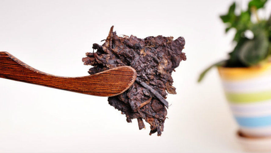 HelloYoung250g premium 23 years old Chinese yunnan puer tea puerh slimming tea green food