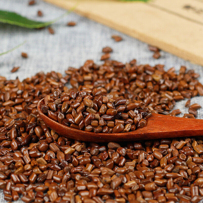 HelloYoung Natural Herbs Chinese Healthy Herbs Bulk Cha Cassia Seeds生决明子juemingzi 500g