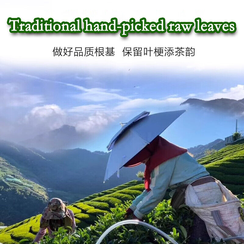 Milk Oolong Premium Tea Strong Aroma Milk Oolong Tea Taiwan Oolong Tea