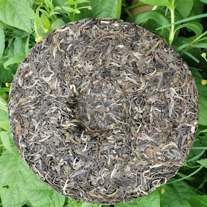 HelloYoung Zhonghong Yin Bow Ancient Tree Tea Yiwu Wanggong Pu-Erh Spring Tea Cake 357g