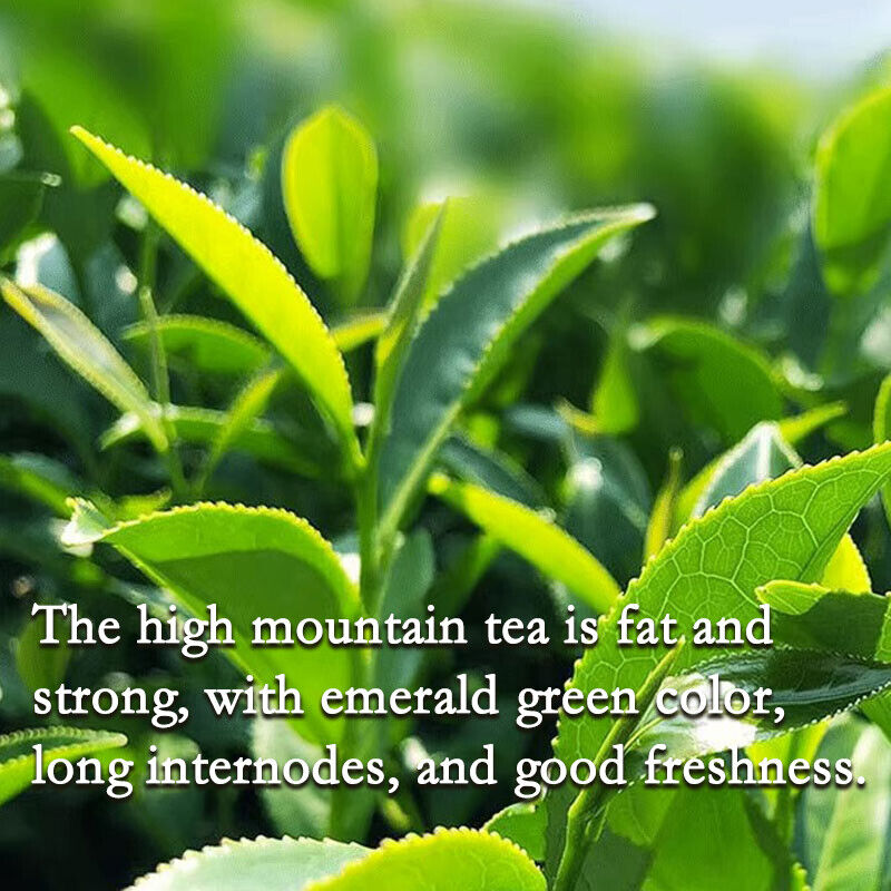 Taiwan Milky Oolong 250g Loose Leaf Tea
