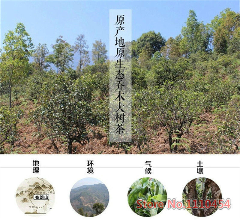 HelloYoung10 Years Old 250g Puer Black Tea Premium Aged Pu Er Tea Pu-erh Red Tea Puerh Tea
