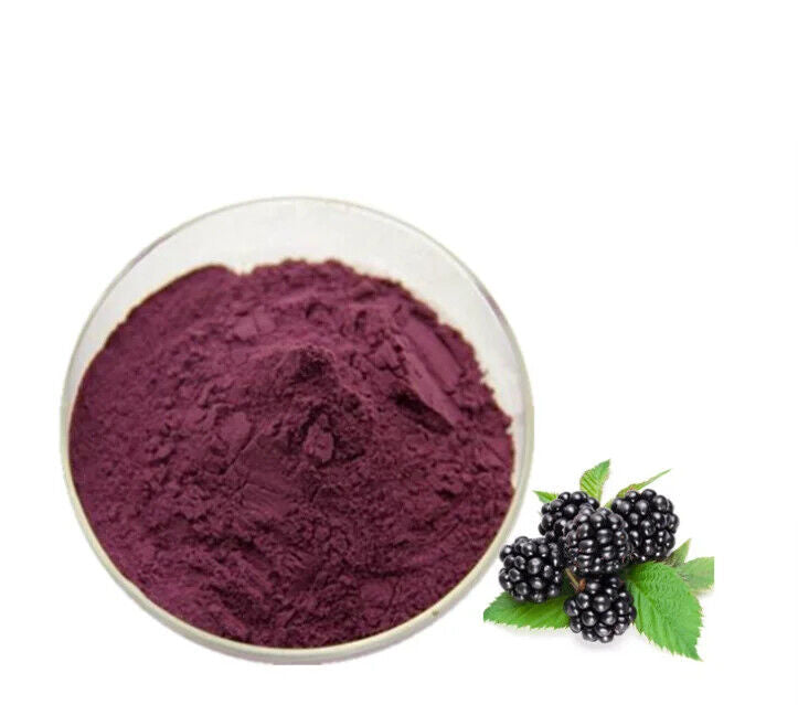 Mulberry Powder Mulberries Fruit Powder Extract ISO Certificate for Drink