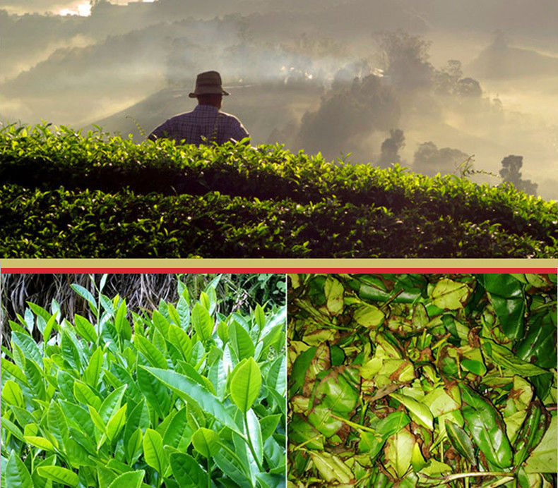 HelloYoung90g China Yunnan Dian Hong Tea  Black Tea Red Box Gifts Tea Spring Feng Qing Fragrant
