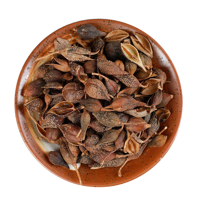 HelloYoung Health  Tea Chinese Specialty Featured Forsythia Lianqiao 250g /500g 连翘